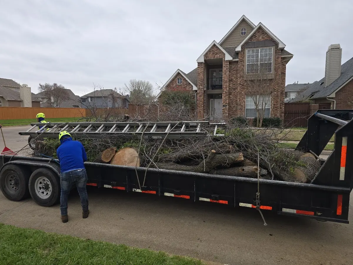 Expert Tree Fertilization with proper safety equipment in Sheppard Afb
